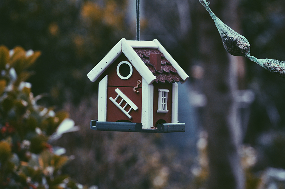 purchasing property